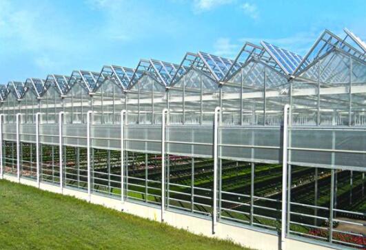 Glass greenhouse is a high-tech in modern agriculture