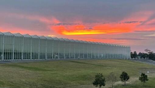 Intelligent glass greenhouse