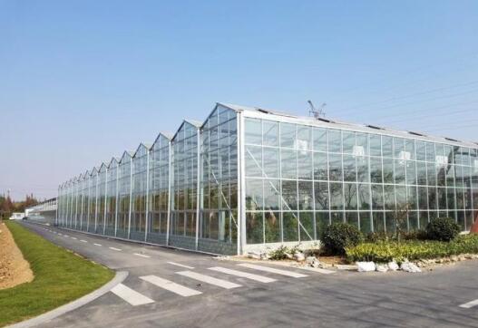 Venlo Glass Greenhouse