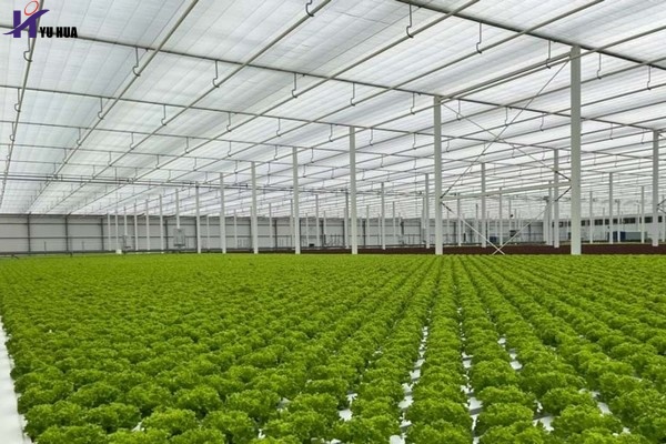 Armela Farms Greenhouse Project_副本.jpg