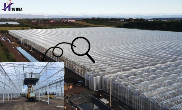 Demers Greenhouse Project_副本