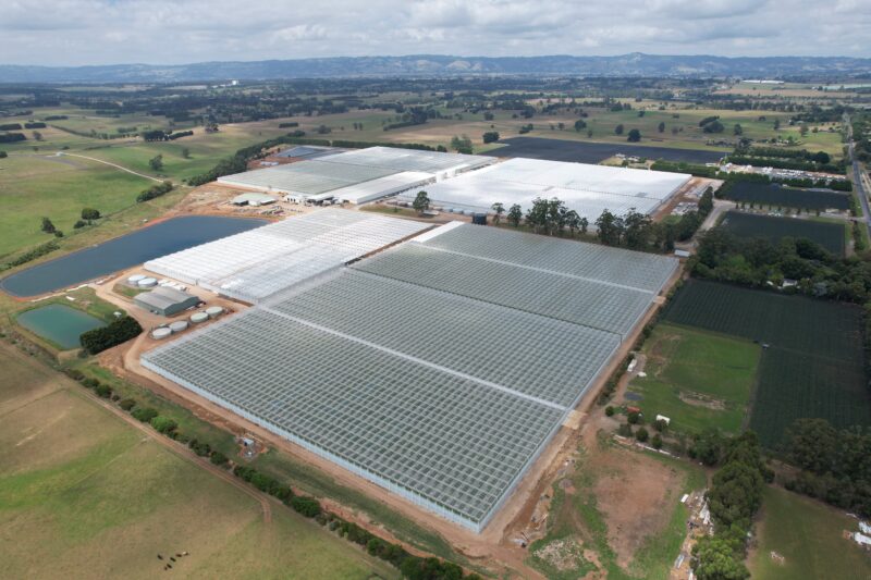 Greenhouse Glass