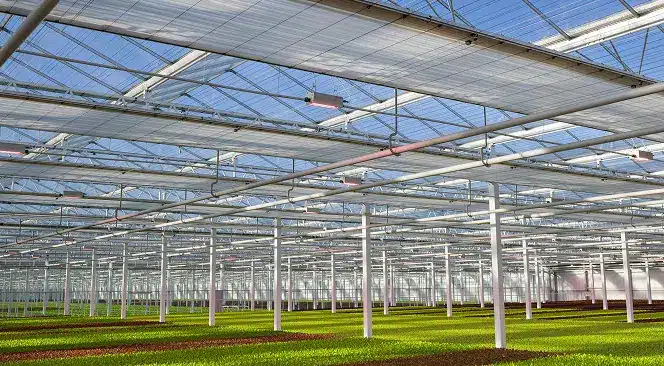 greenhouse glass