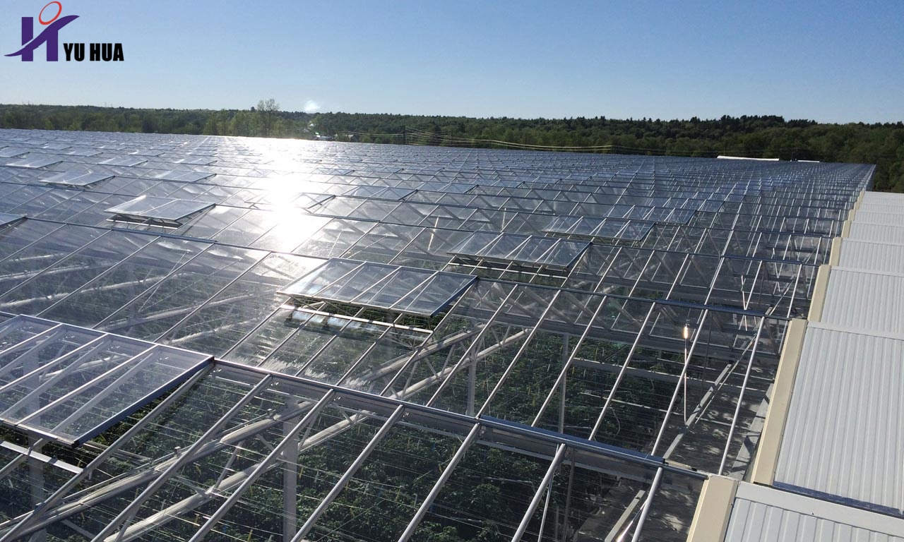 Greenhouse Glass