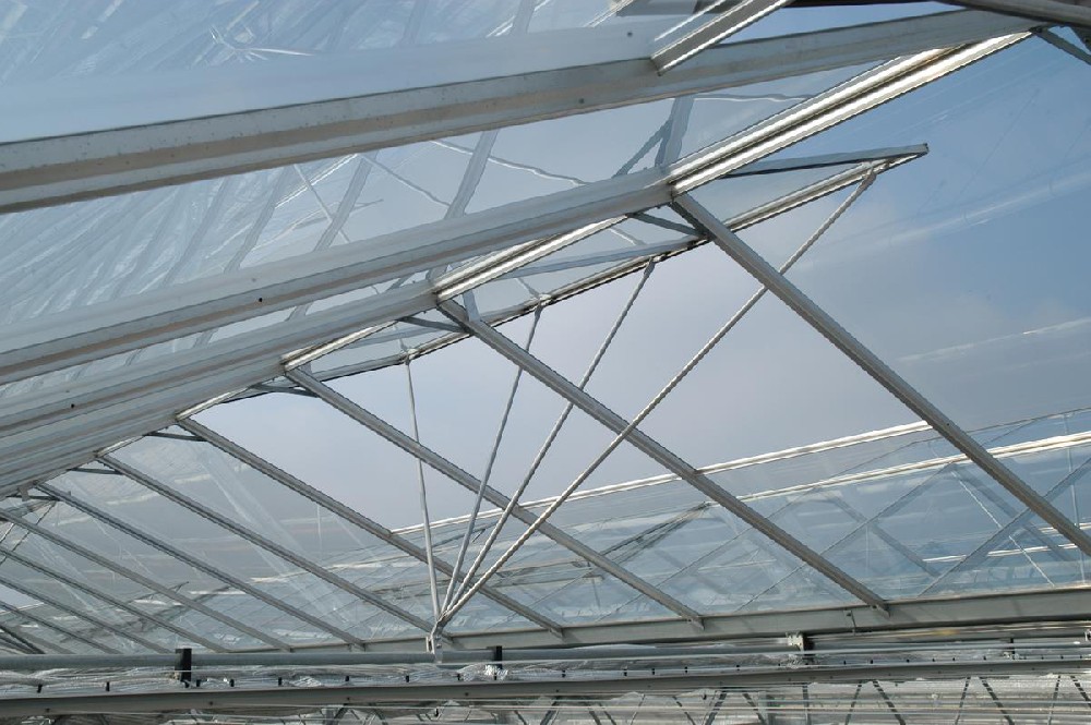 Atlantic Growers