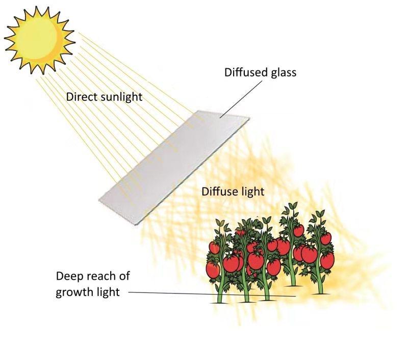 diffuse glass
