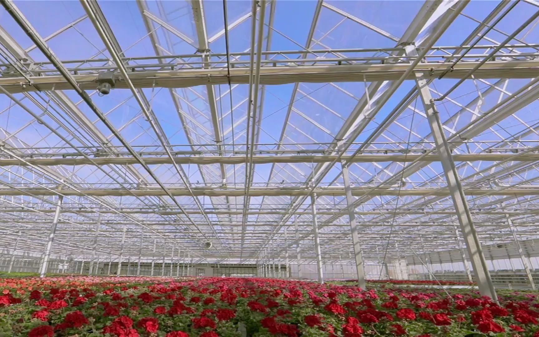 Greenhouse Glass