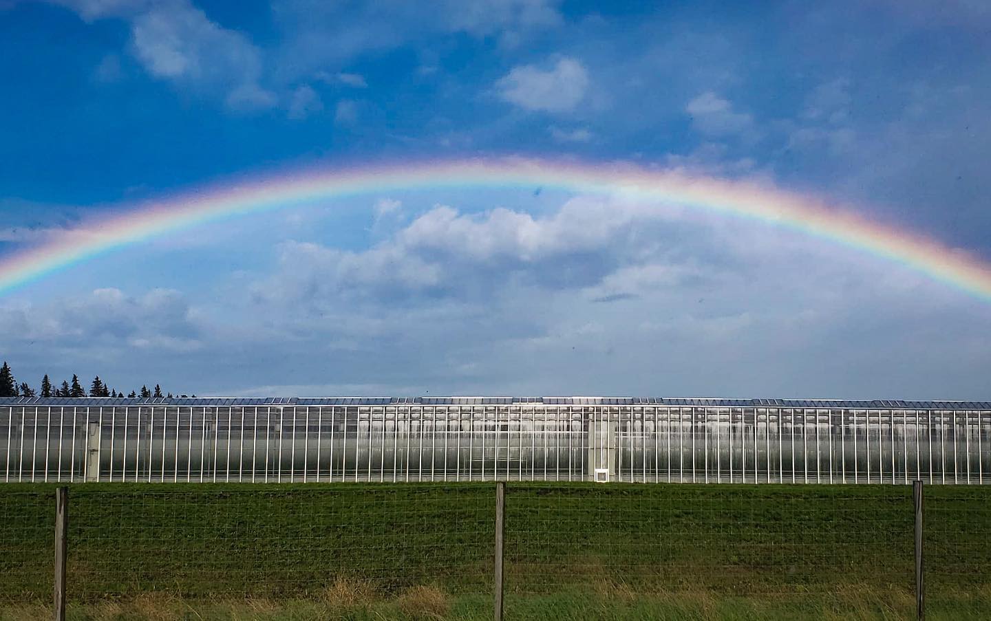 glass greenhouse