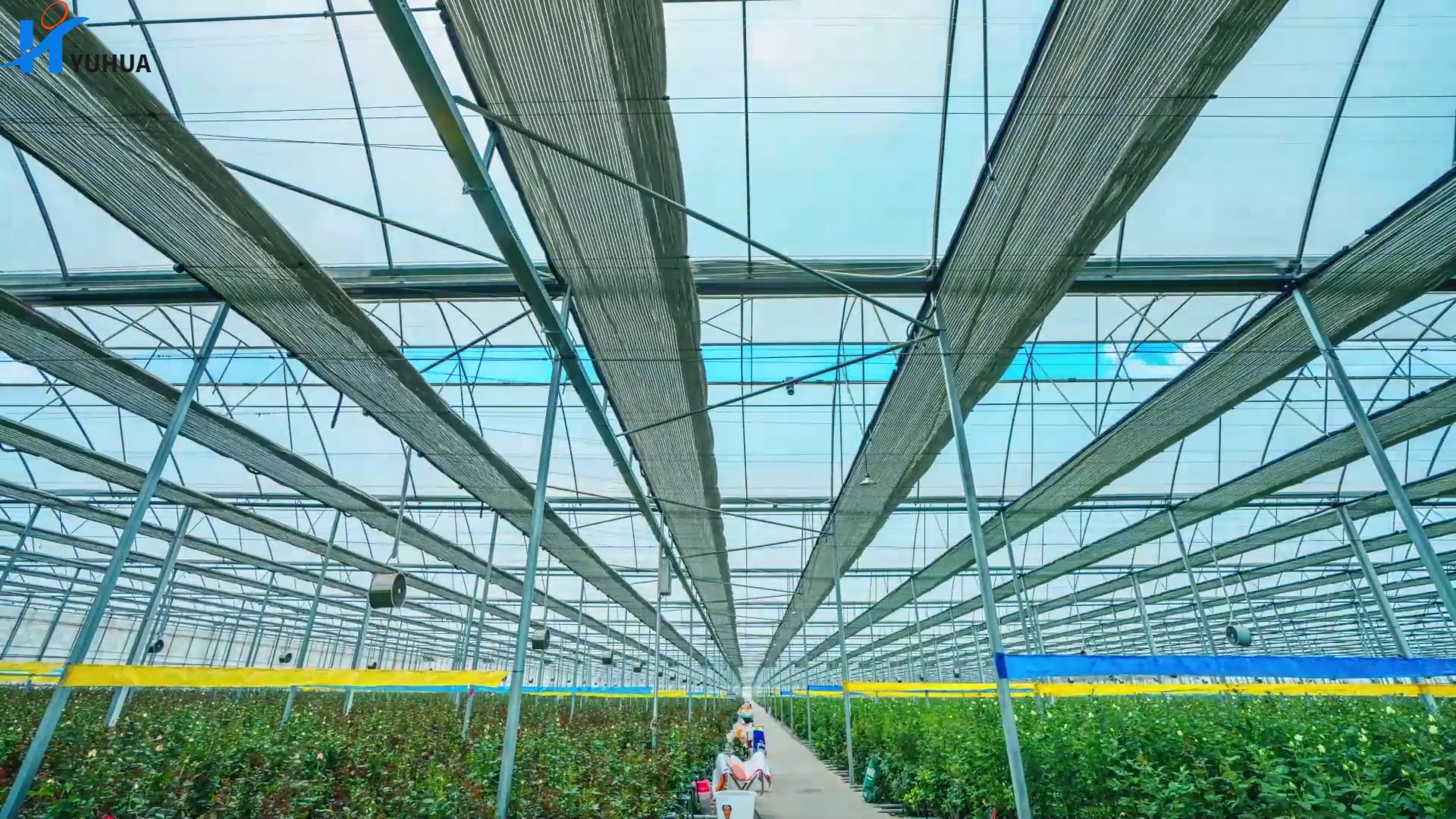Greenhouse Glass