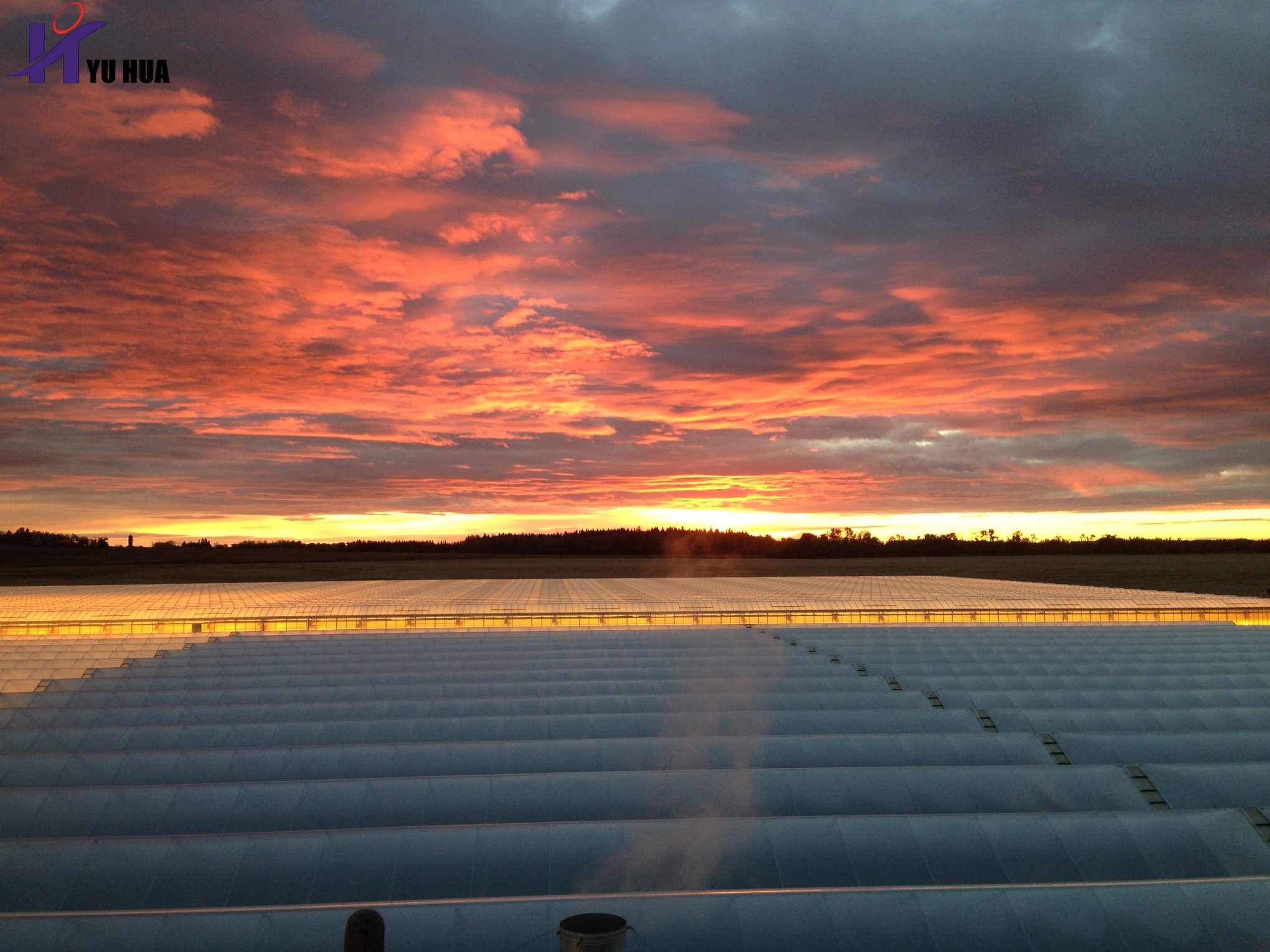 Greenhouse Glass